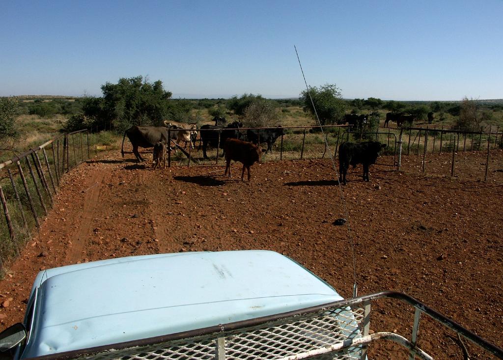 090509_South_Africa 227.jpg
